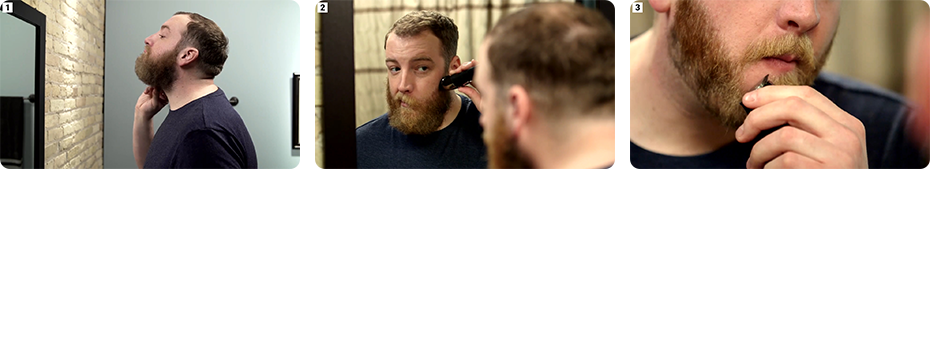 Beard_Maintenance_0-(1).png